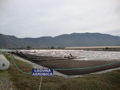 Laguna Aerobica.